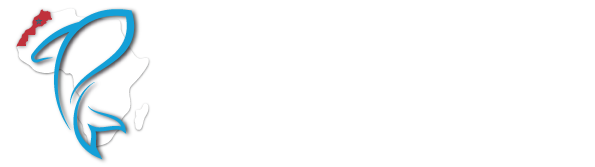 footer